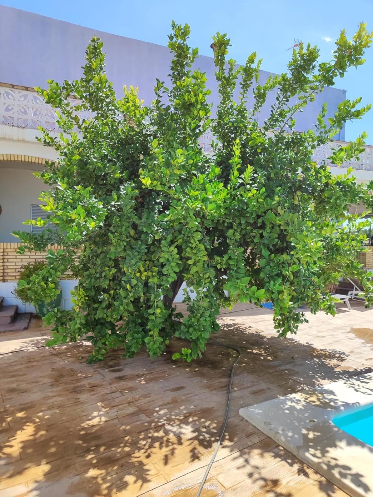 El Recreo, Private Pool & Bbq Βίλα Godelleta Εξωτερικό φωτογραφία